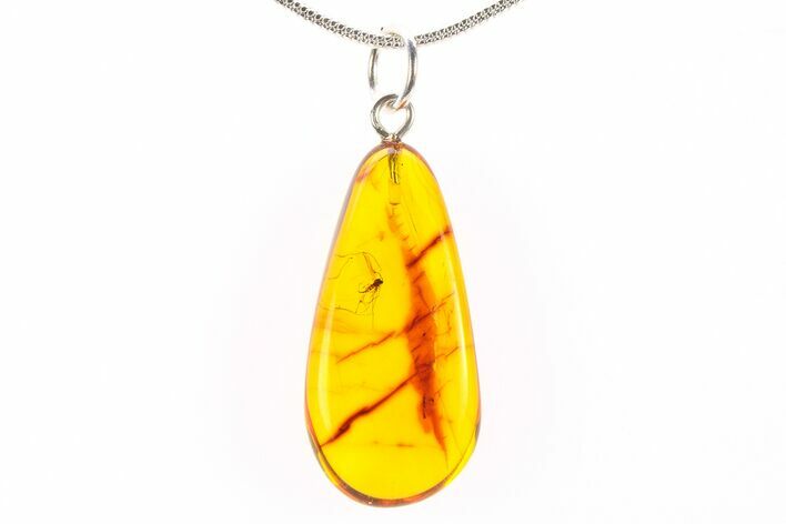Polished Baltic Amber Pendant (Necklace) - Contains Fly! #288713